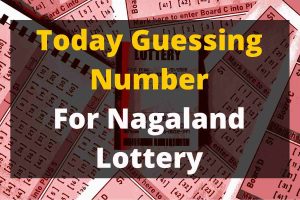 Nagaland state lottery prediction